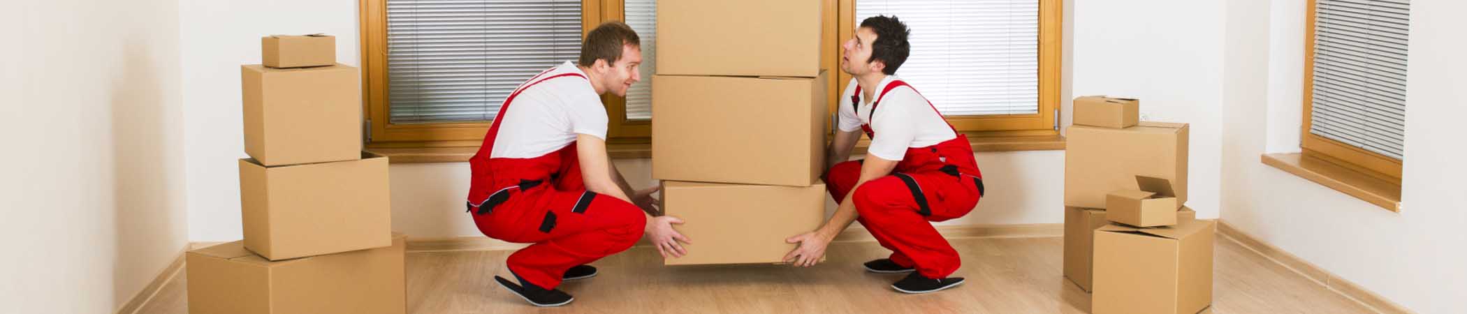Professional furniture moving team