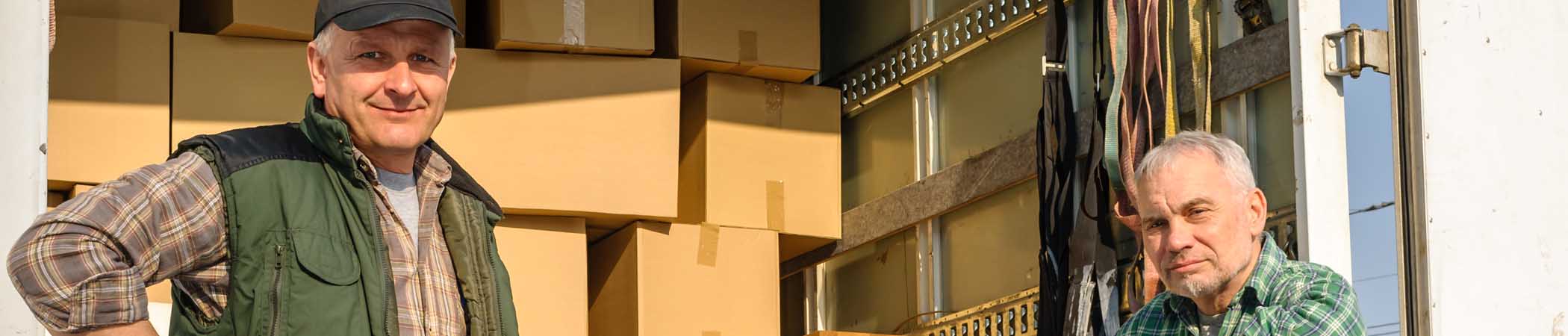 Two man and a van team